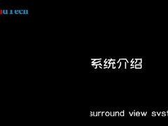 T5 AVM Véhicule 360 AVM Système CVBS AHD Capteur d'entrée AHD Signal LVDS Signal de sortie